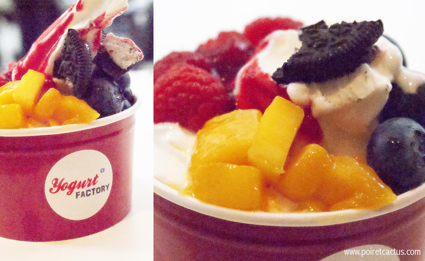 bons plans paris yogurt factory yaourt glacé 0% matière grasse