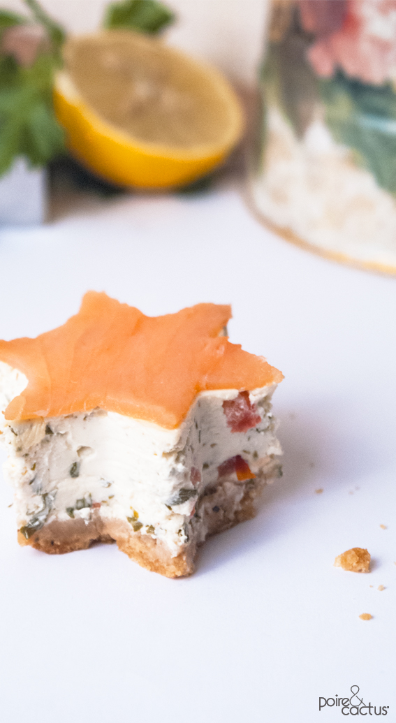 recette_cheesecake_au_saumon_poiretcactus